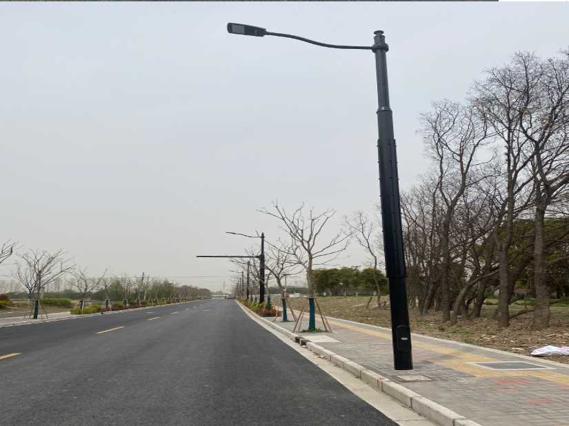 西林县上海综合杆 太阳能路灯工程